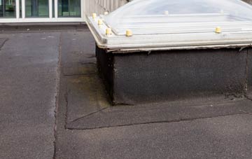 disadvantages of Hallow flat roofs